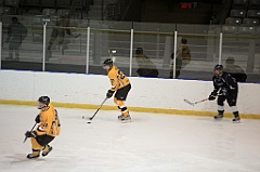 C5D_083675