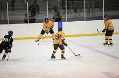 C5D_083750