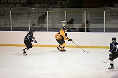 C5D_083768