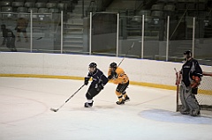 C5D_084080