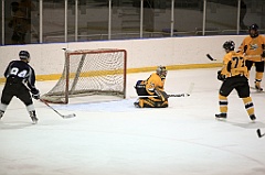 C5D_084160