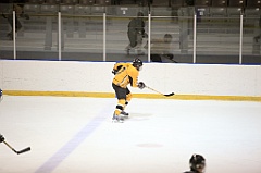 C5D_084186