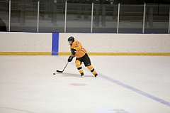 C5D_084231
