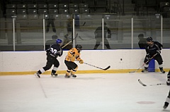 C5D_084282