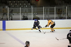 C5D_084286