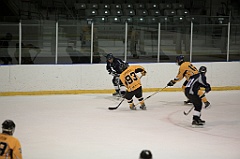 C5D_084695