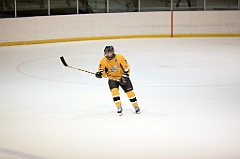 C5D_085106