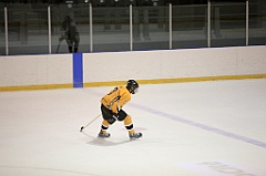 C5D_085111