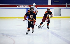 C5D_049048