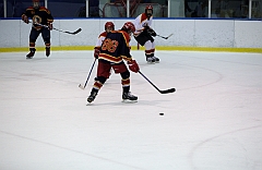 C5D_049340