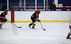 C5D_049366