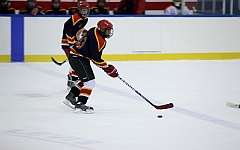 C5D_049376
