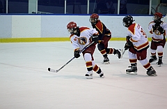 C5D_049392