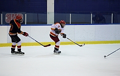 C5D_049740