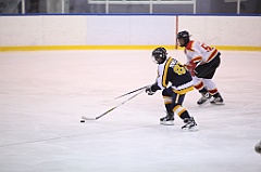 C5D_051101