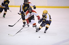C5D_051267