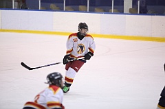 C5D_051331