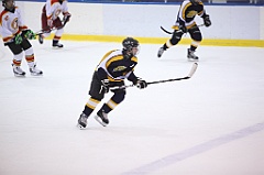 C5D_051341