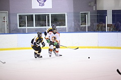 C5D_051504