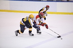 C5D_051530