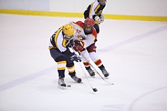 C5D_051531