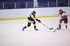 C5D_051604