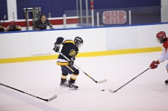 C5D_051631