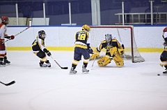 C5D_051699