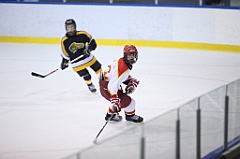 C5D_051710