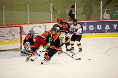 C5D_052460