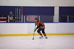 C5D_052909