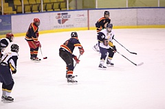 C5D_054491
