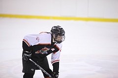 C5D_055436