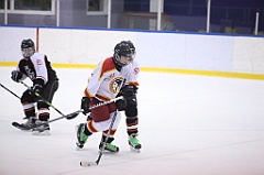 C5D_055493