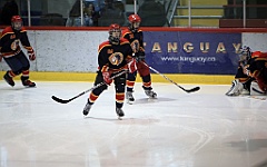 C5D_062441