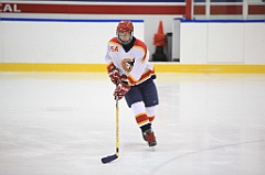 IMG_4529