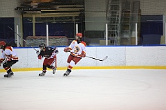 IMG_5009