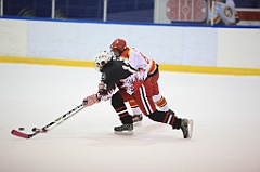 IMG_5304