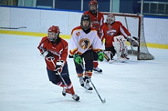 C5D_065397