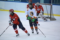C5D_065398