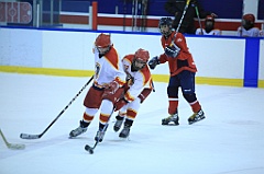 C5D_065750