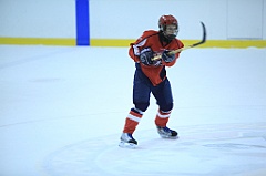 C5D_065880