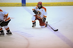 C5D_066640