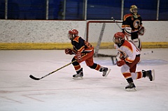 C5D_066890