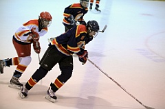 C5D_067080