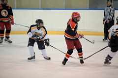 C5D_077751