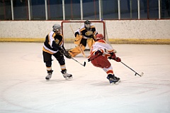 C5D_080110