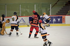 C5D_081910