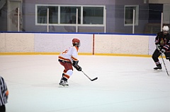 C5D_082980