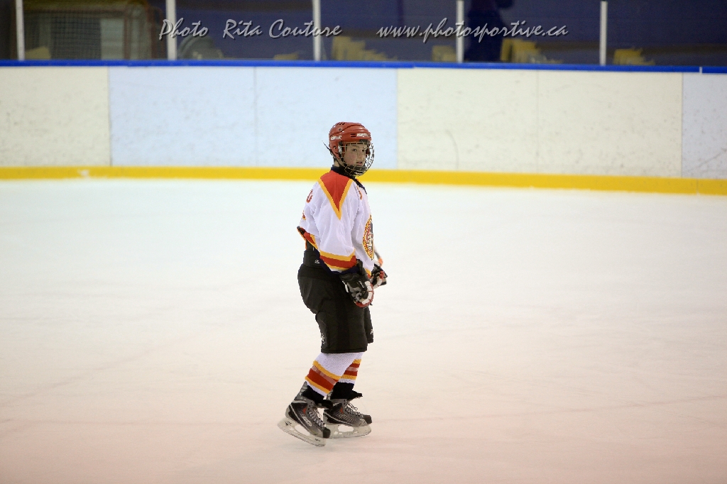 C5D_646538.jpg